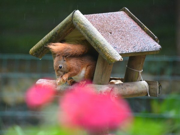Des bons amies dans le jardin