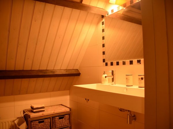 Salle de bain au premier Etage, avec grand bain et douce de pluie